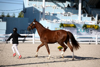 BW184141