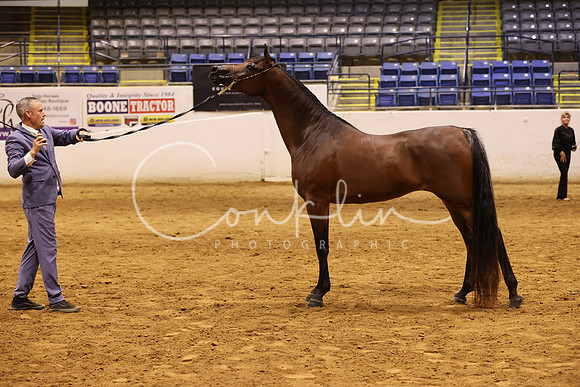 RJC33337