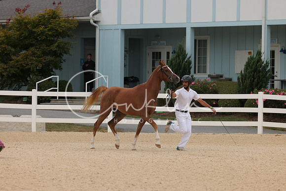 HLK_0620