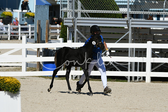 HSM_4587