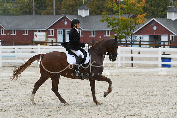 HSM_0386