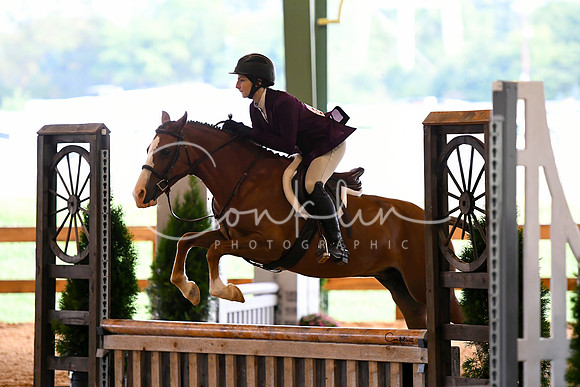 HSM_0953-1