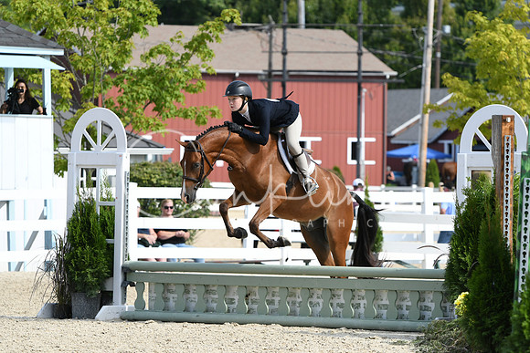 HSM_6232