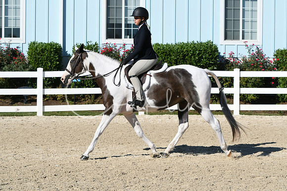 HSM_2270