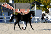 HSM_5573