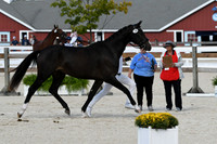 HSM_5303