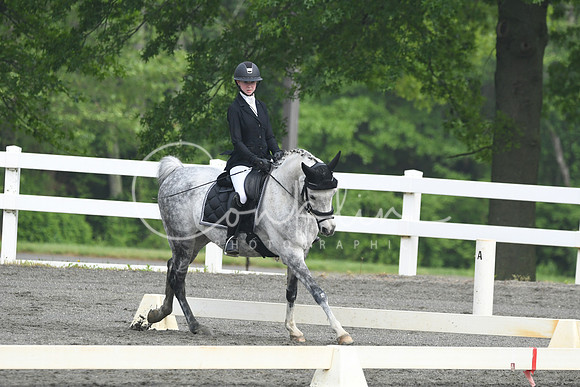 HSM_0939