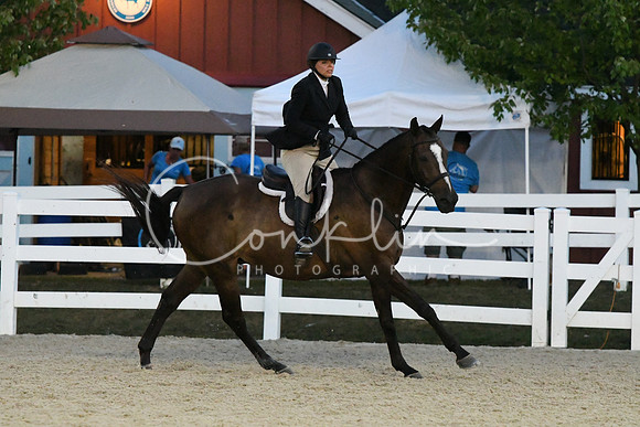 HSM_0541