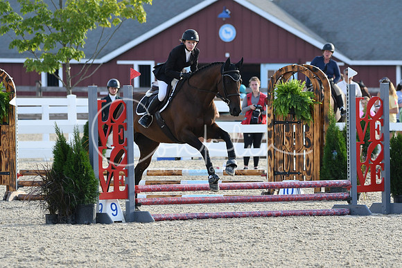 HSM_1118