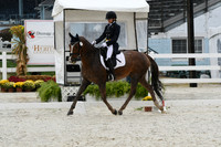 HSM_0939