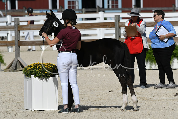 HSM_5202