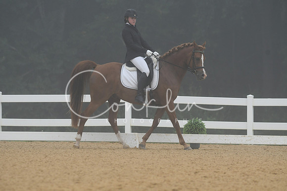 HSM_0739