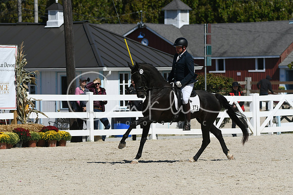 HSM_4810
