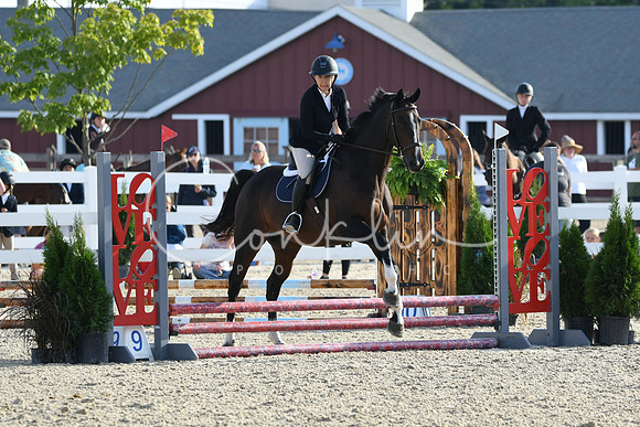 HSM_1308
