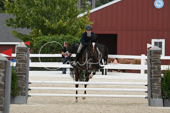 HSM_3349