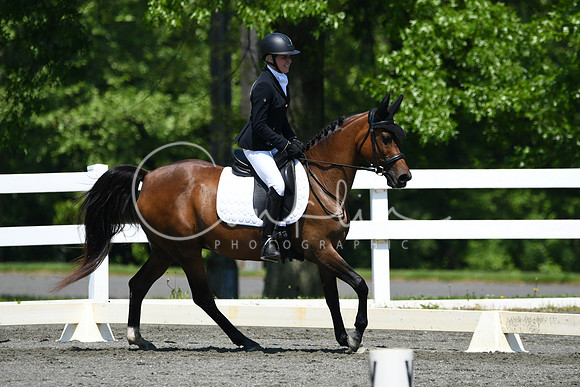 HSM_1413