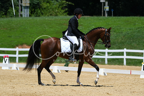 HSM_1517