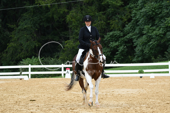 HSM_0462