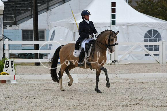 HSM_0238