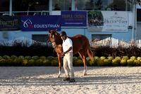 RJC32890