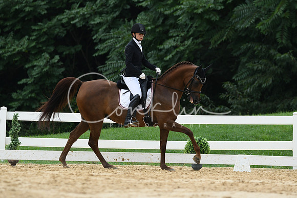 HSM_9911