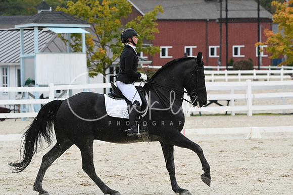 HSM_0441