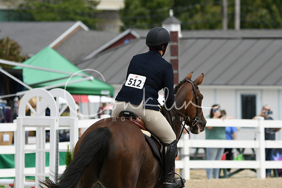 HSM_2217