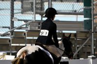 HSM_9804