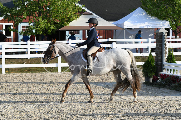 HSM_0113
