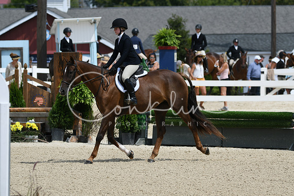 HSM_6965
