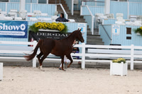 RJC32506