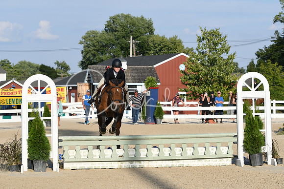 HSM_0101