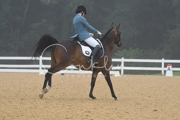 HSM_0901