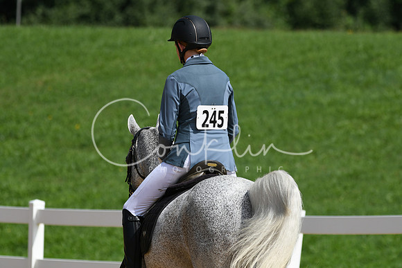 HSM_1206