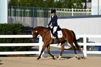 HSM_4228
