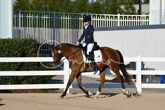 HSM_4228