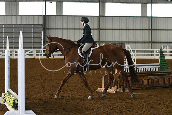 HSM_4398