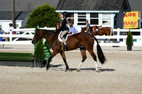 HSM_4236