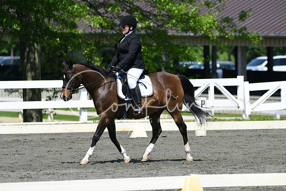 HSM_1264