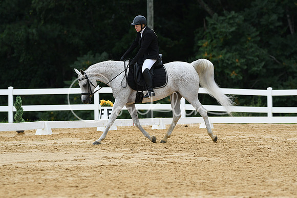 HSM_0306