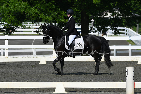 HSM_1067