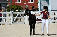 HSM_5192