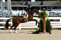 HSM_6029