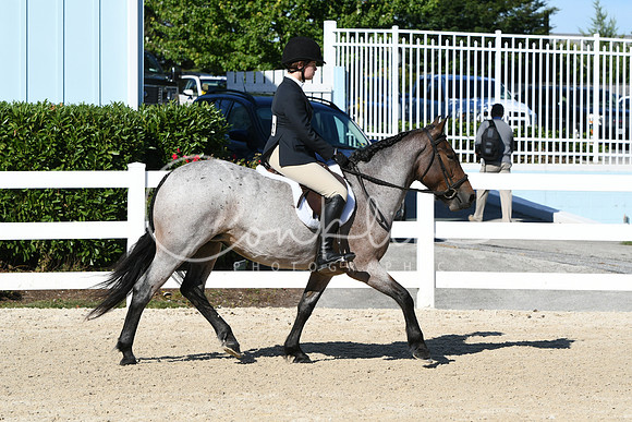 HSM_2302