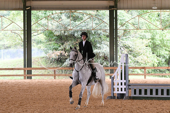 HSM_2938