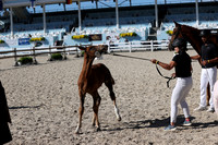 RJC37213