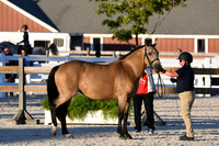 HSM_5645