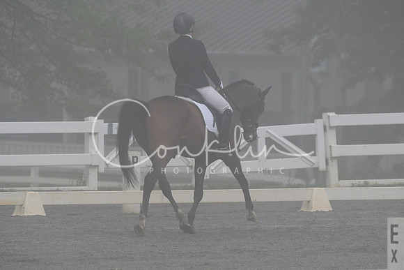 HSM_0720