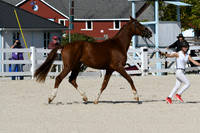 HSM_5239
