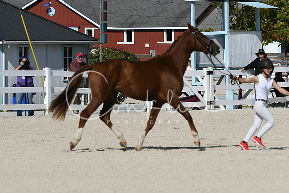 HSM_5239